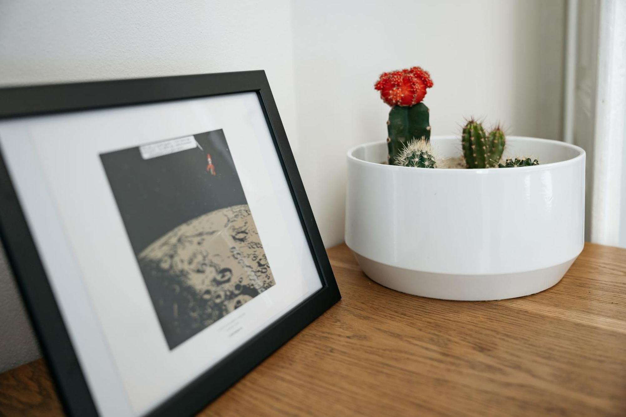 Comfortable And Cosy Apt A Few Steps From Dancing House And Naplavka Dance Prague Exterior photo